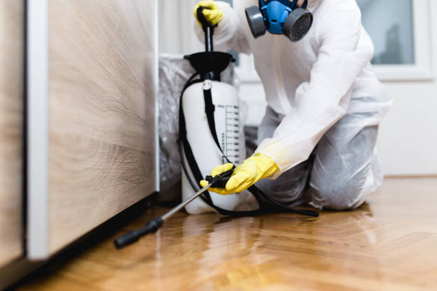 Best Local Pest Control Services  in Benton, IL