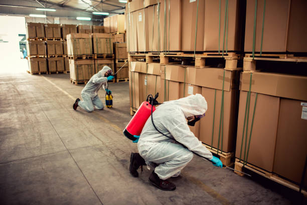 Best Pest Control Near Me  in Benton, IL