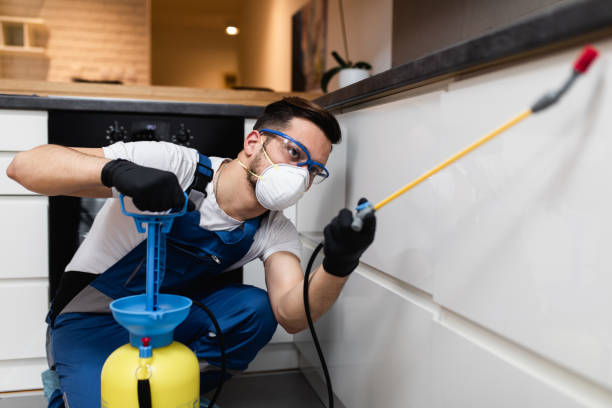 Best Insect Control  in Benton, IL