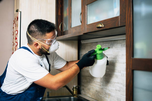 Best Pest Control Cost  in Benton, IL