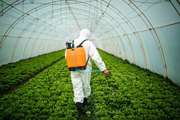 Professional Pest Control in Benton, IL