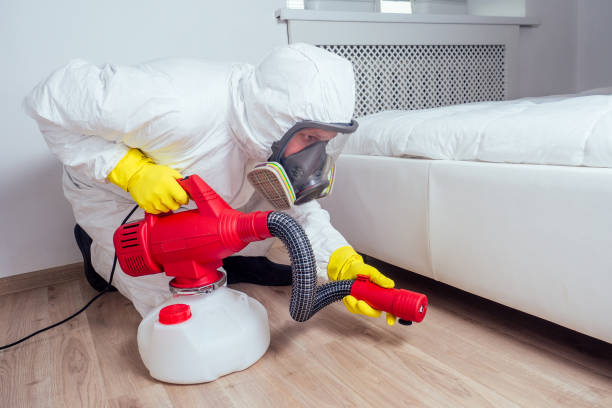 Best Pest Prevention Services  in Benton, IL
