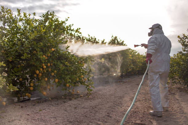Best Exterminator Services  in Benton, IL