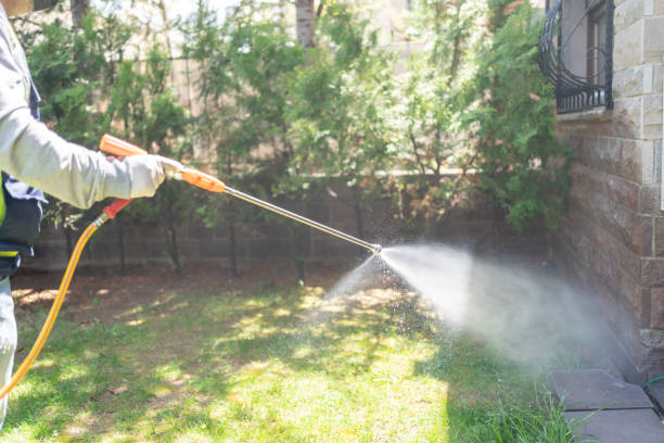 Flea Control Services in Benton, IL