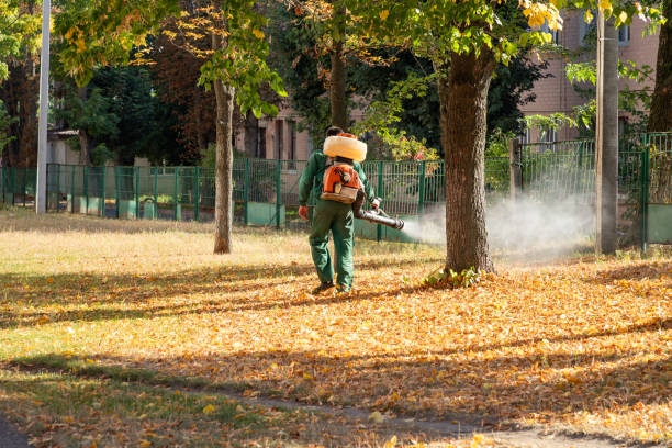 Best Cockroach Control Services  in Benton, IL