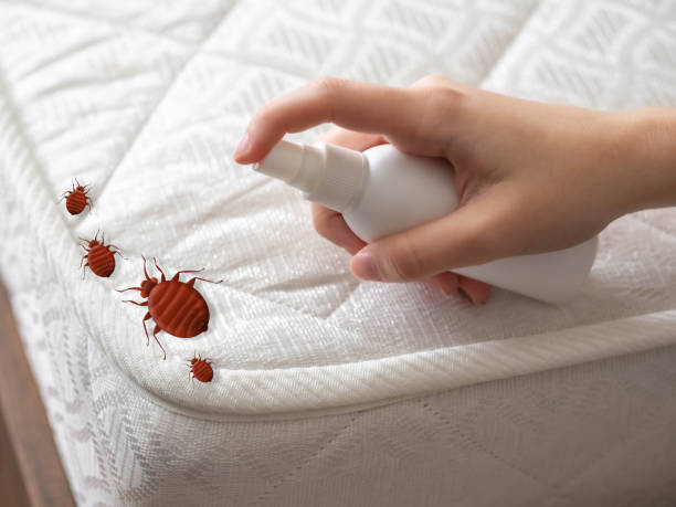 Best Best Pest Control Companies  in Benton, IL