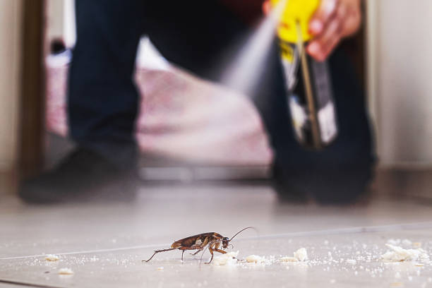 Best Ant Control Services  in Benton, IL