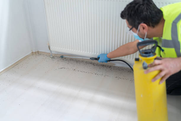 Best Best Pest Control Companies  in Benton, IL