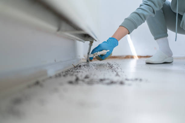 Best Pest Control Near Me in Benton, IL